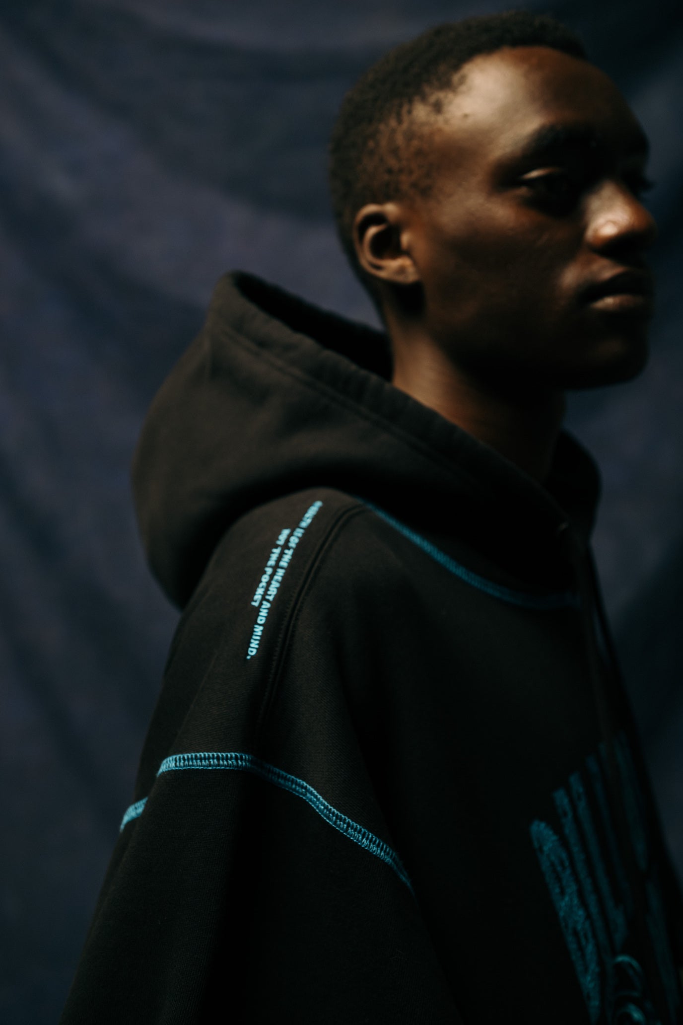 画像をギャラリービューアに読み込む, EMBROIDERED LOGO HOODIE