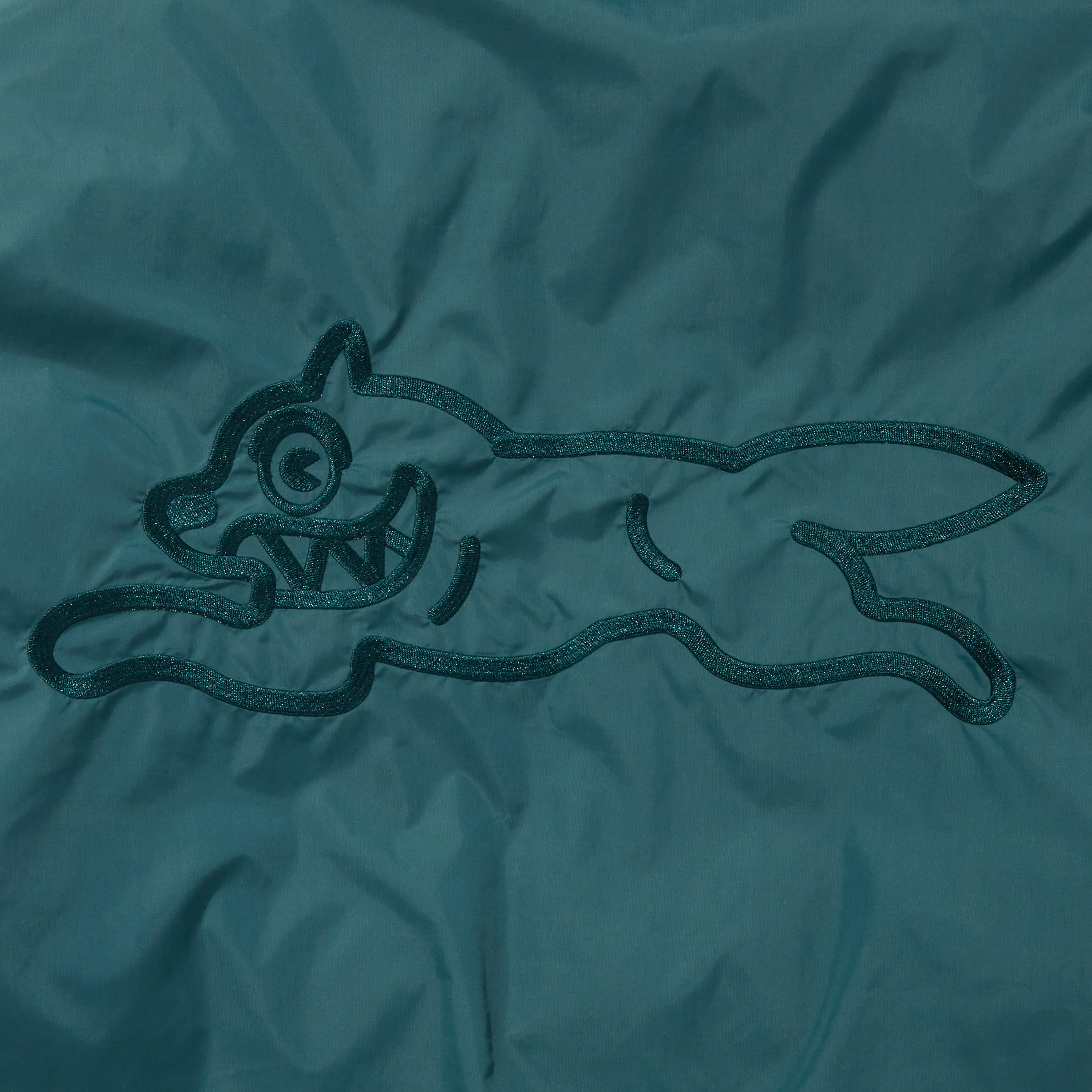 画像をギャラリービューアに読み込む, REVERSIBLE DOWN JACKET