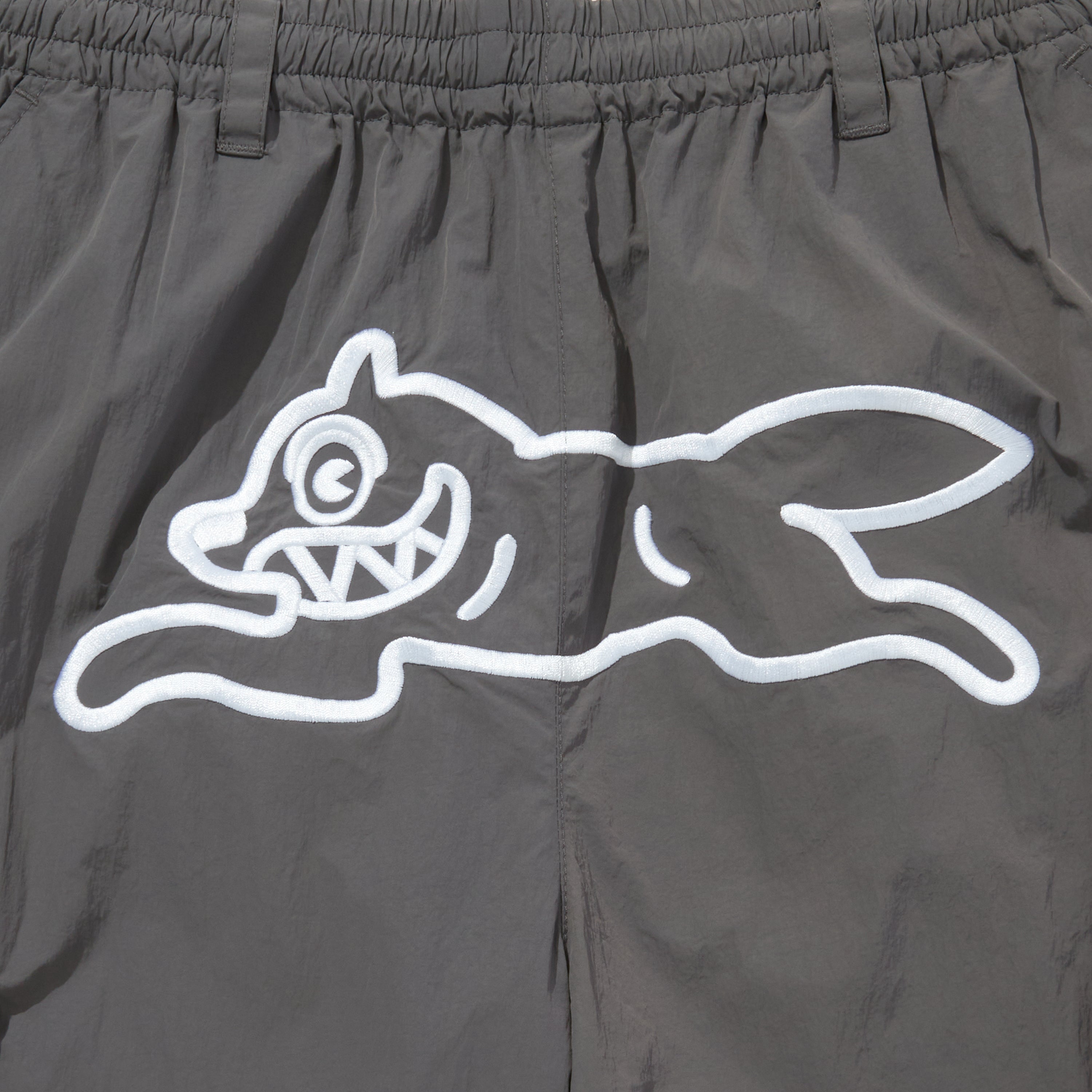 Load image into Gallery viewer, Nylon 2way Pants