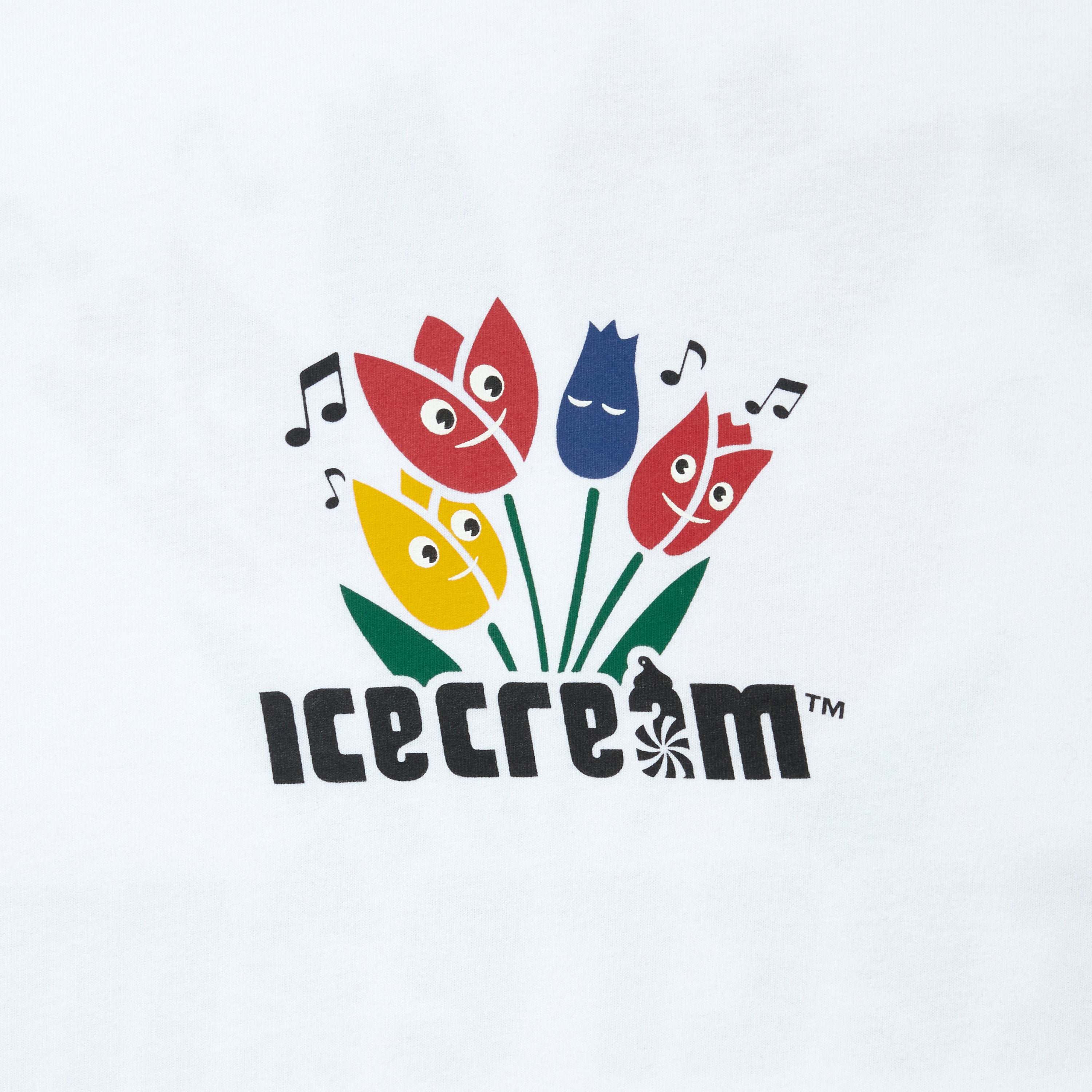 画像をギャラリービューアに読み込む, Cotton T-shirt_Icecream