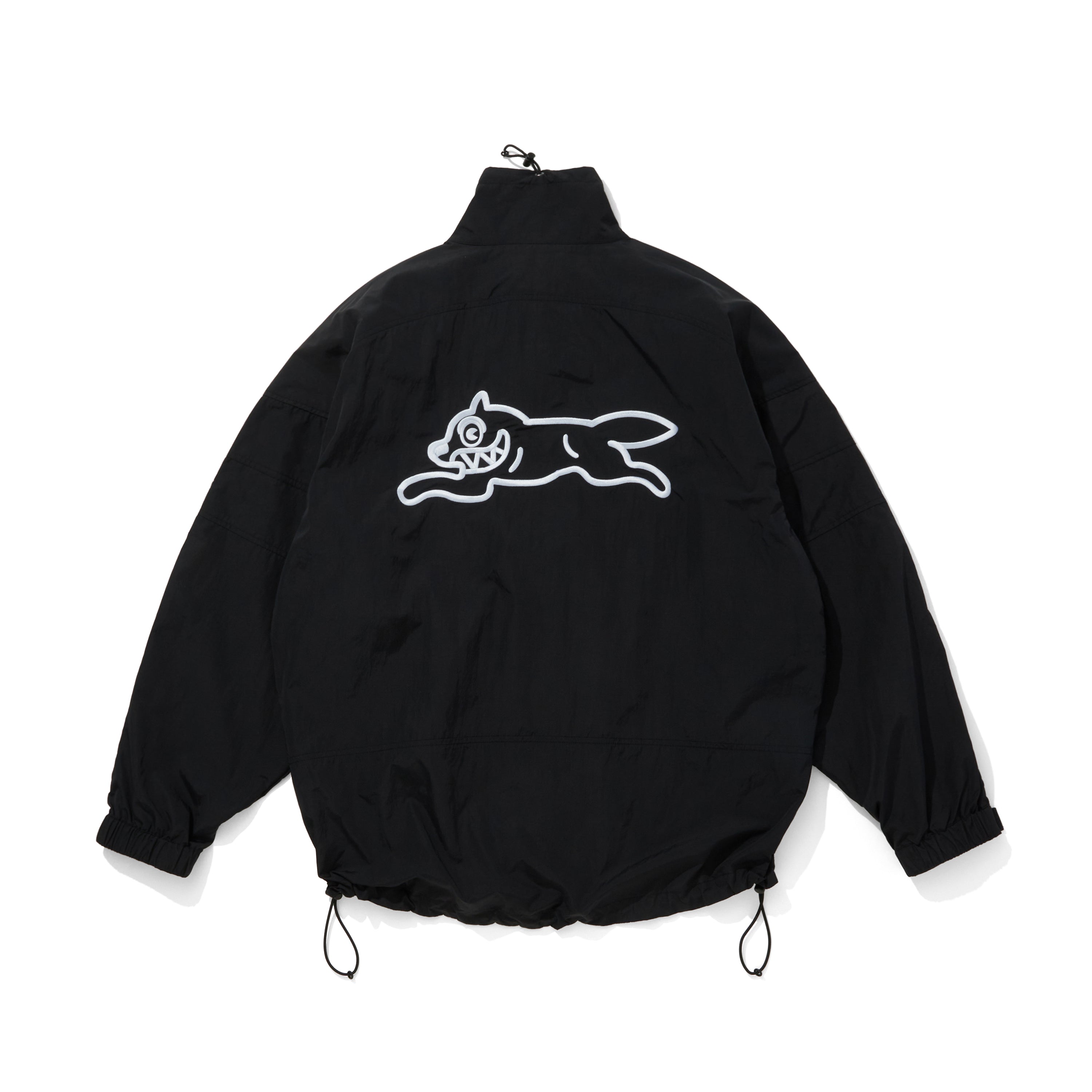 Load image into Gallery viewer, Nylon Jackt