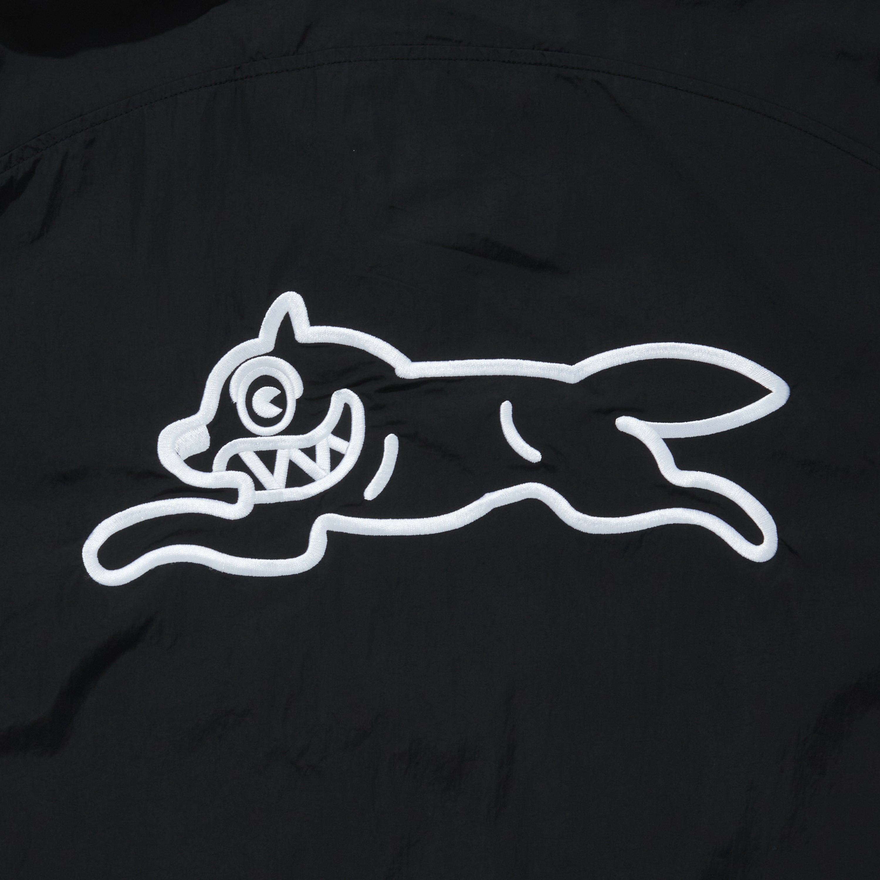 Load image into Gallery viewer, Nylon Jackt