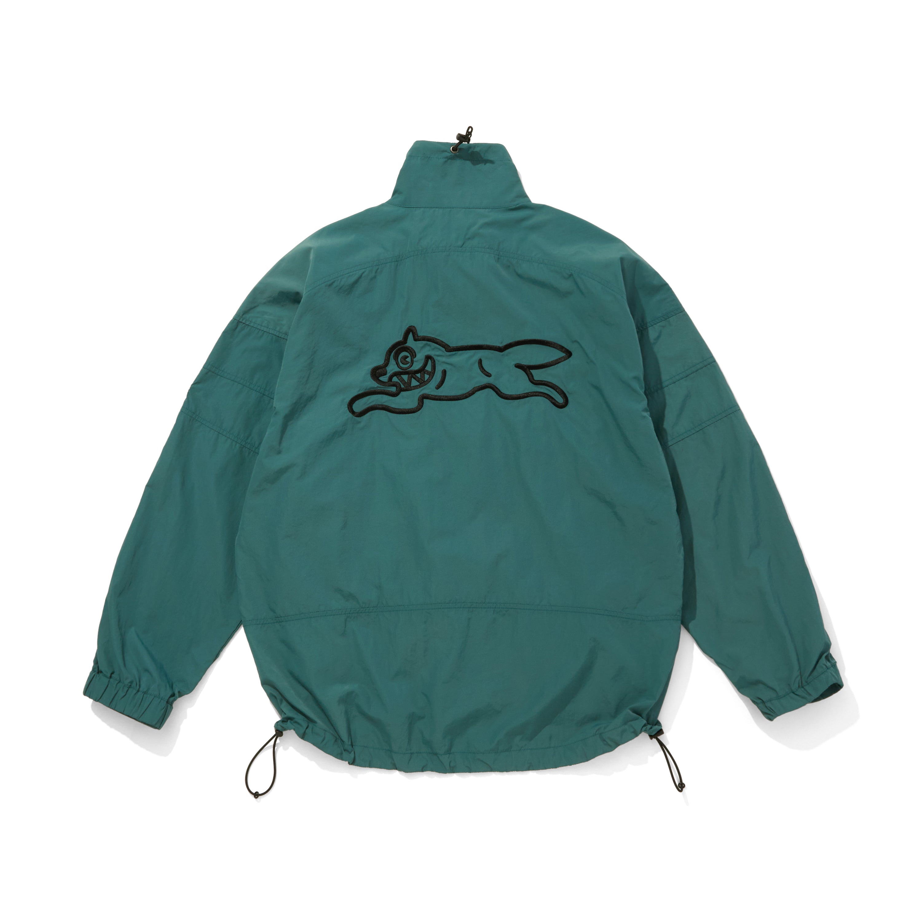 Load image into Gallery viewer, Nylon Jackt