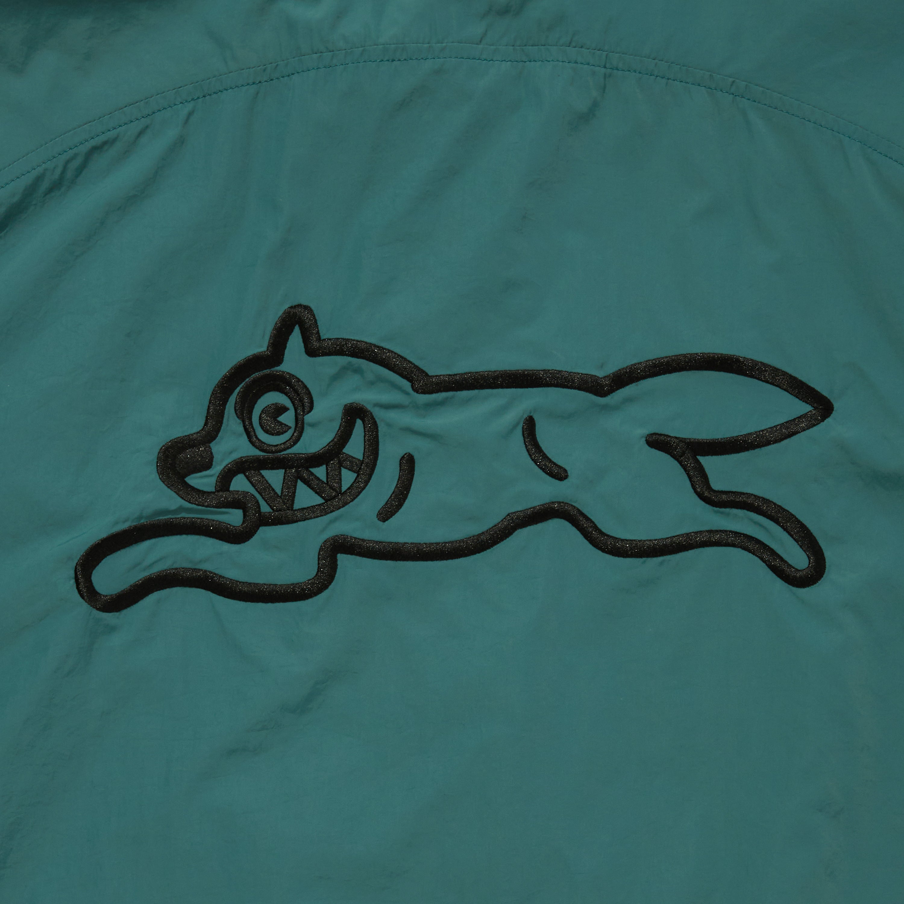 Load image into Gallery viewer, Nylon Jackt