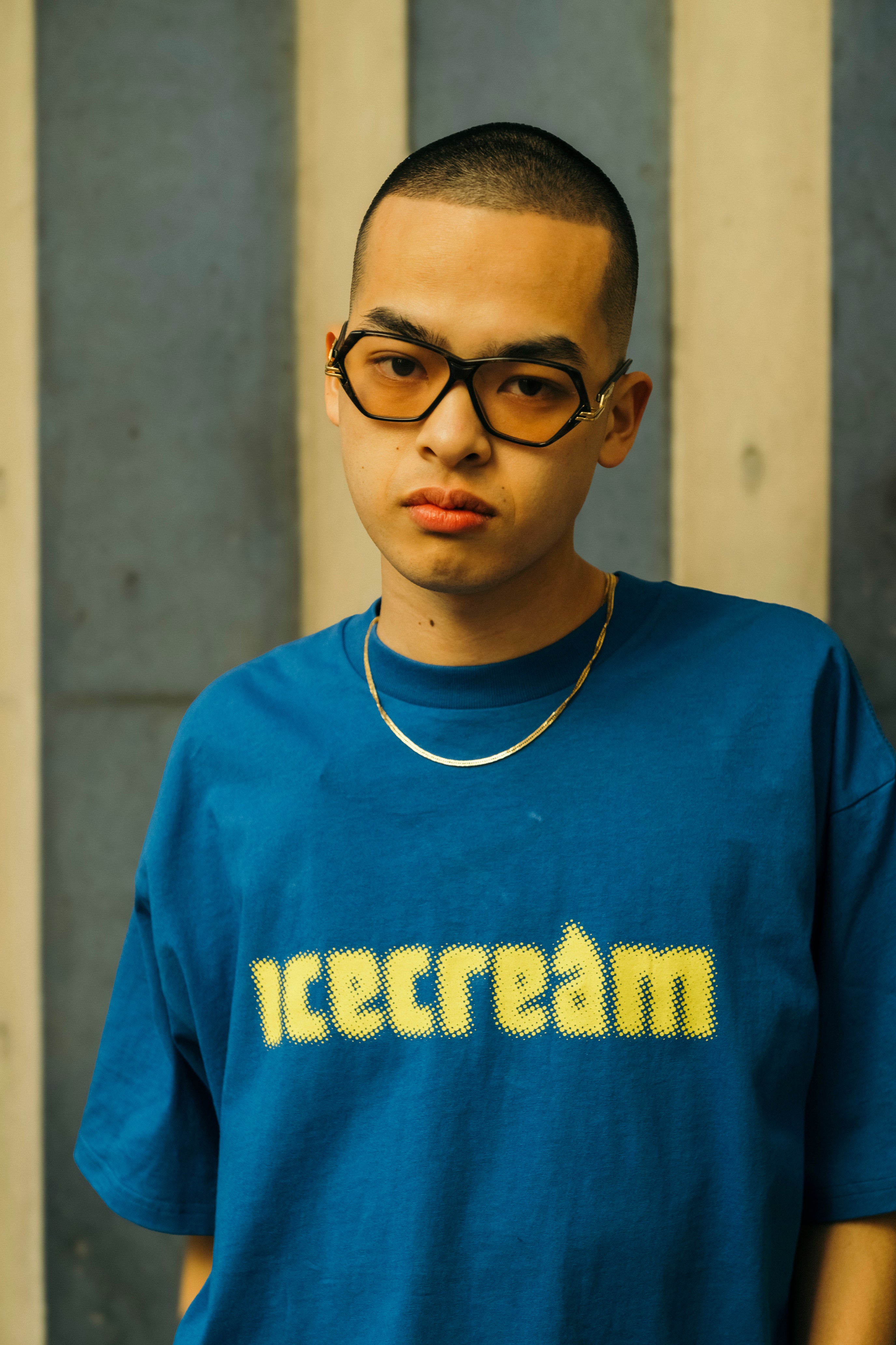 画像をギャラリービューアに読み込む, Cotton T-shirt_Icecream