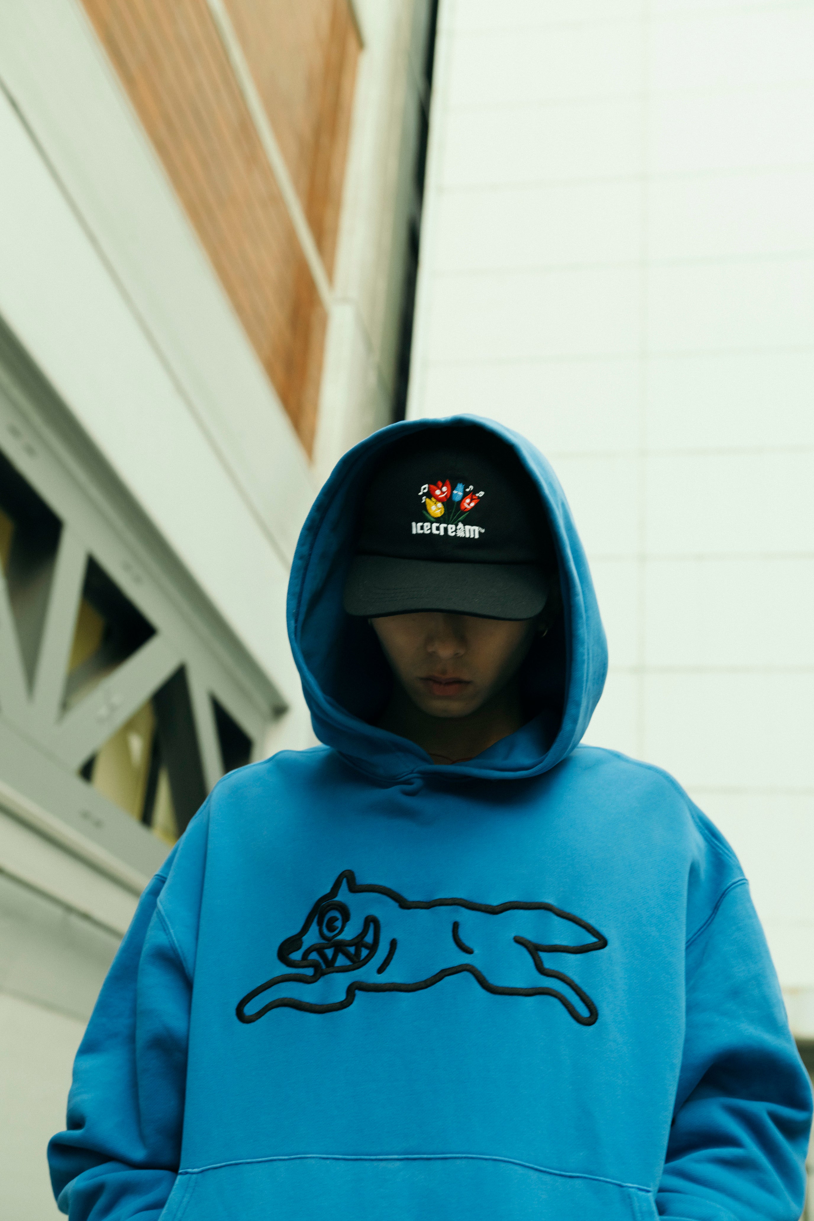 画像をギャラリービューアに読み込む, Overdyed Hoodie_Running Dog
