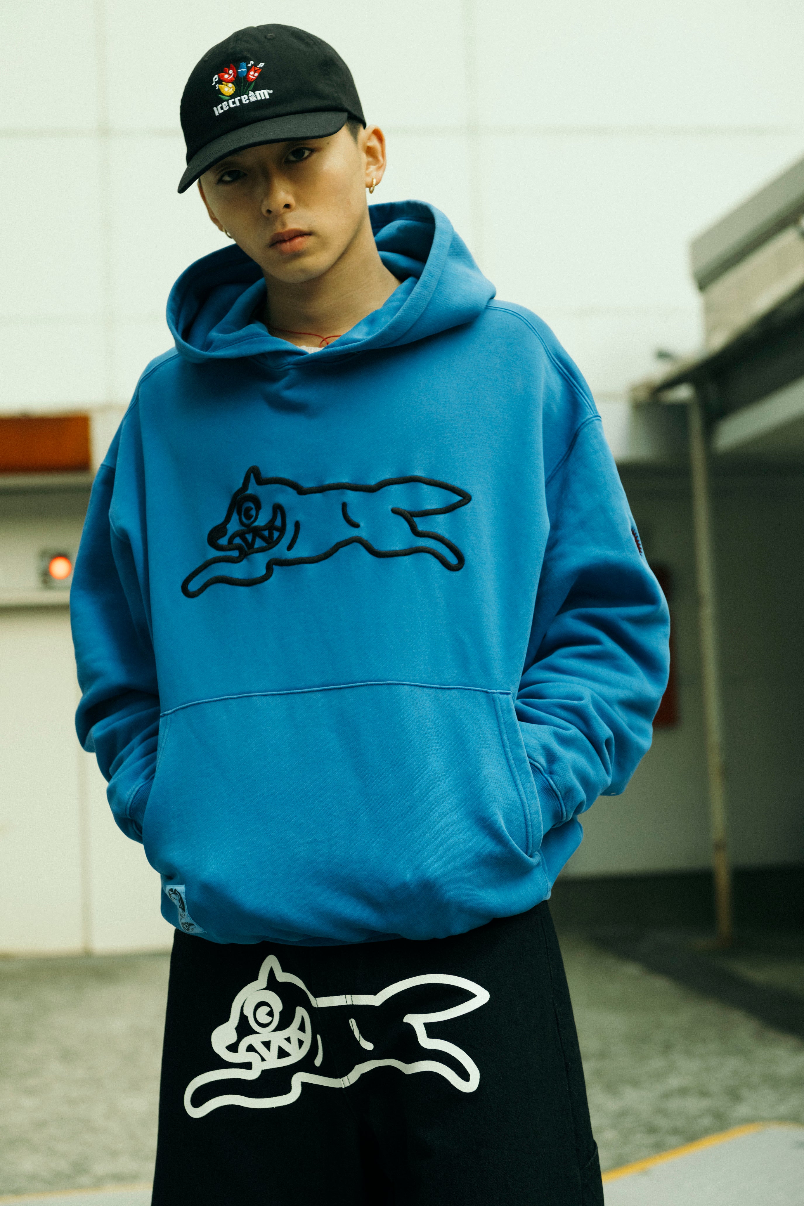 画像をギャラリービューアに読み込む, Buggy Denim Shorts
