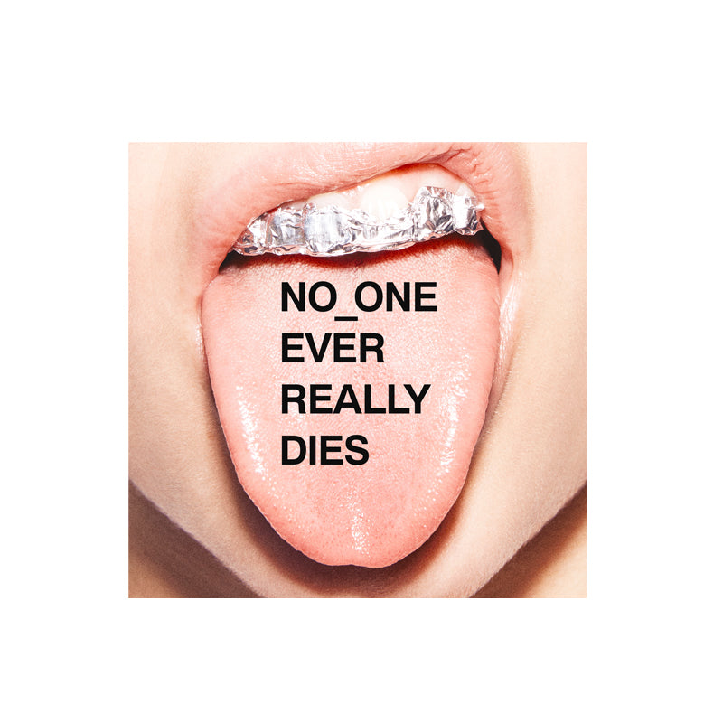 No_One Ever Really Dies / N.E.R.D