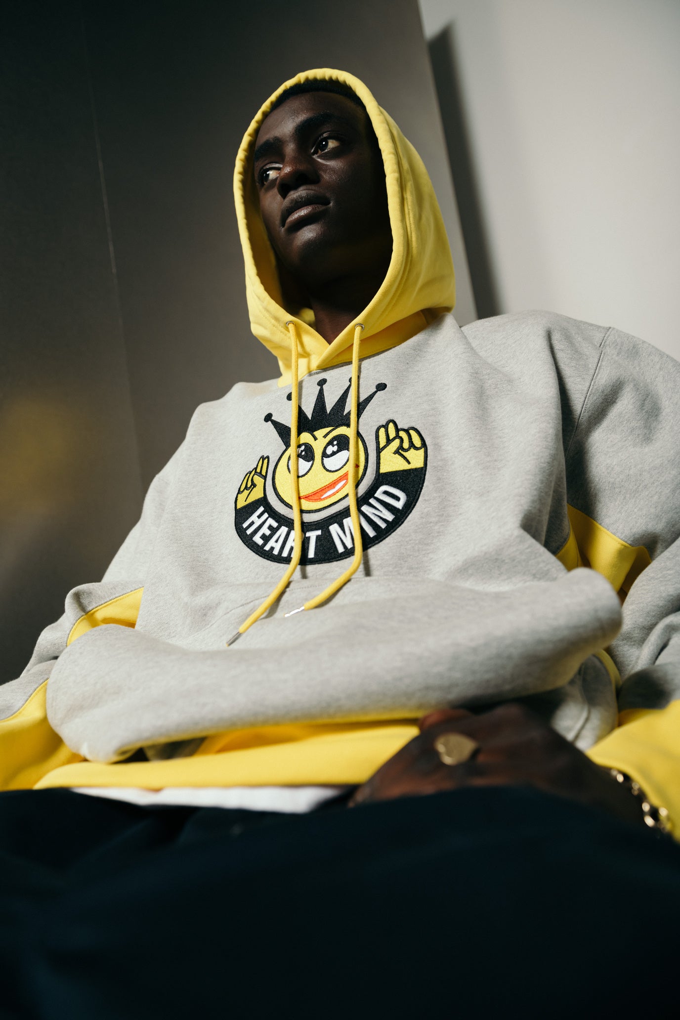 画像をギャラリービューアに読み込む, SWITCHING HOODIE
