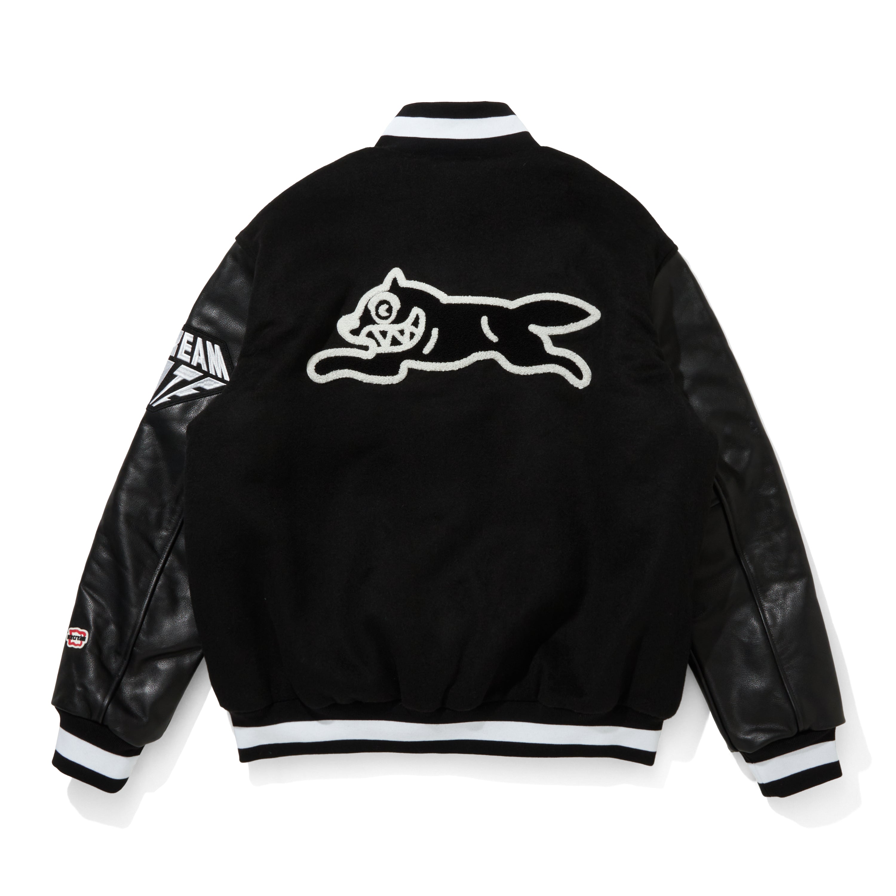 Load image into Gallery viewer, VARSITY JACKET
