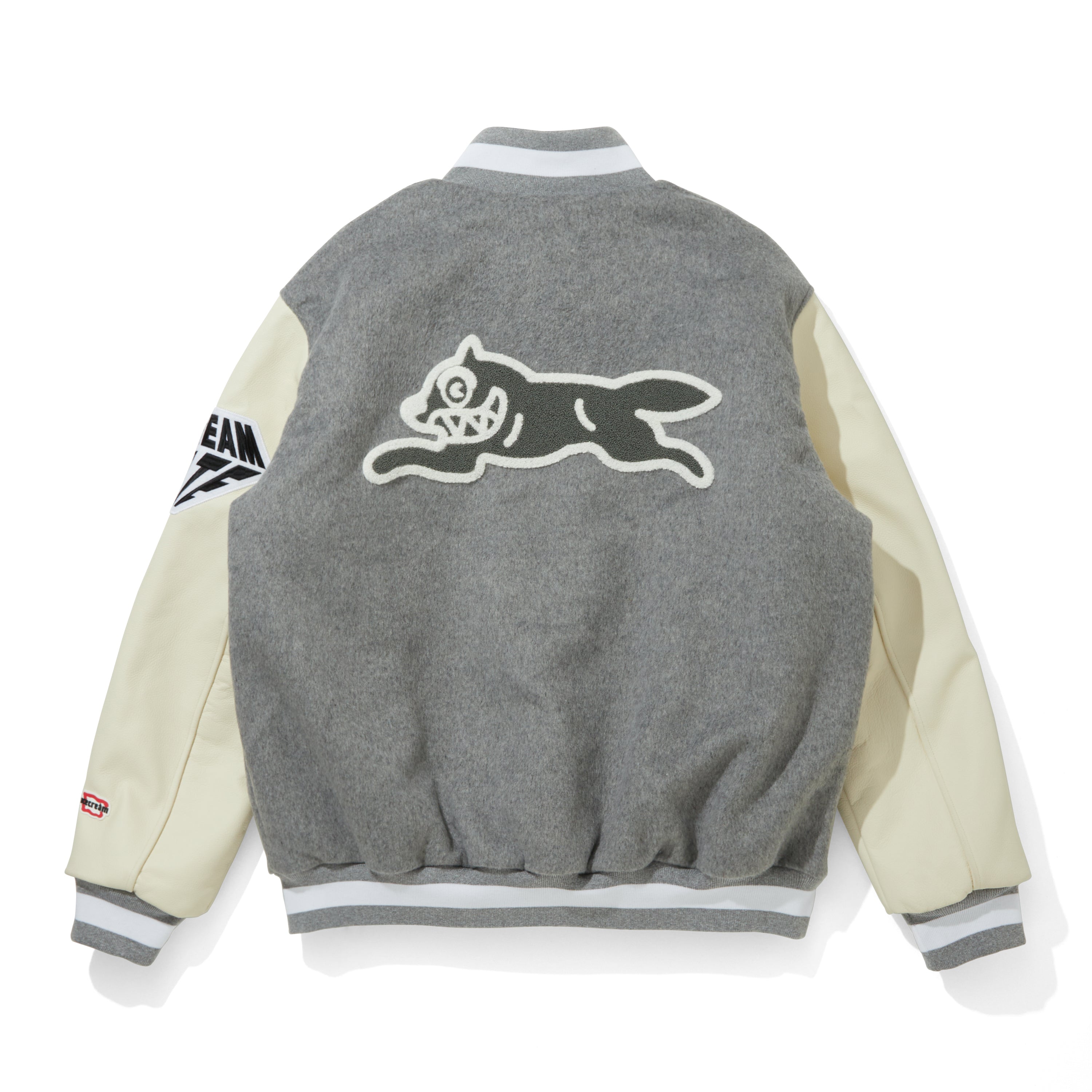 Load image into Gallery viewer, VARSITY JACKET
