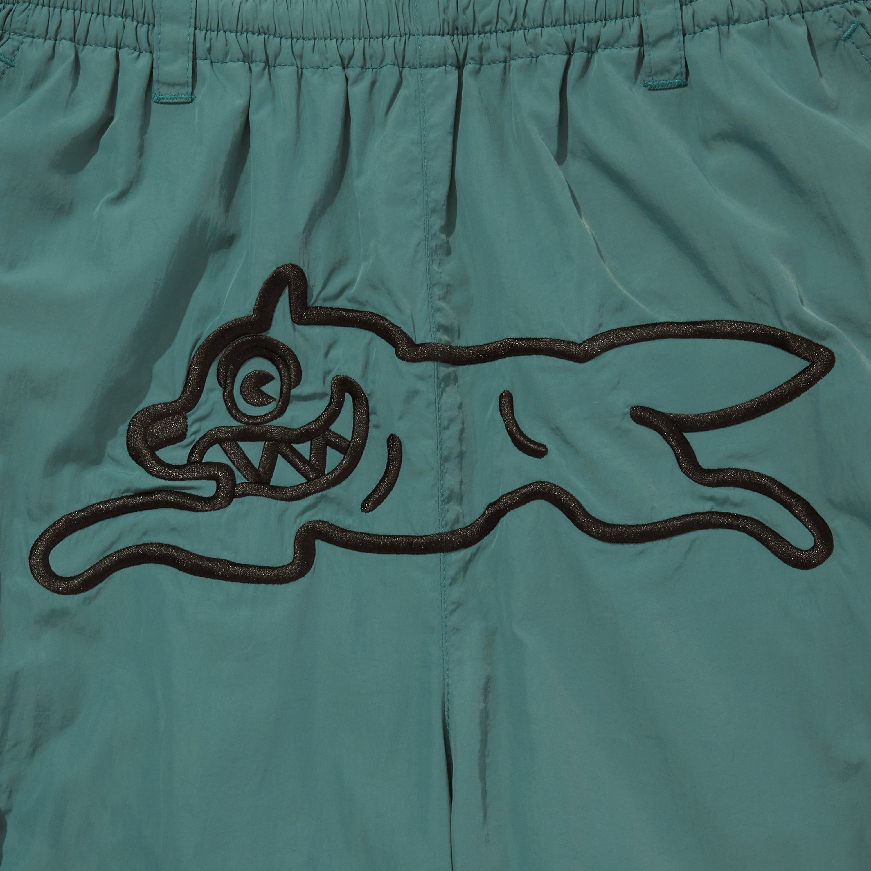 Load image into Gallery viewer, Nylon 2way Pants
