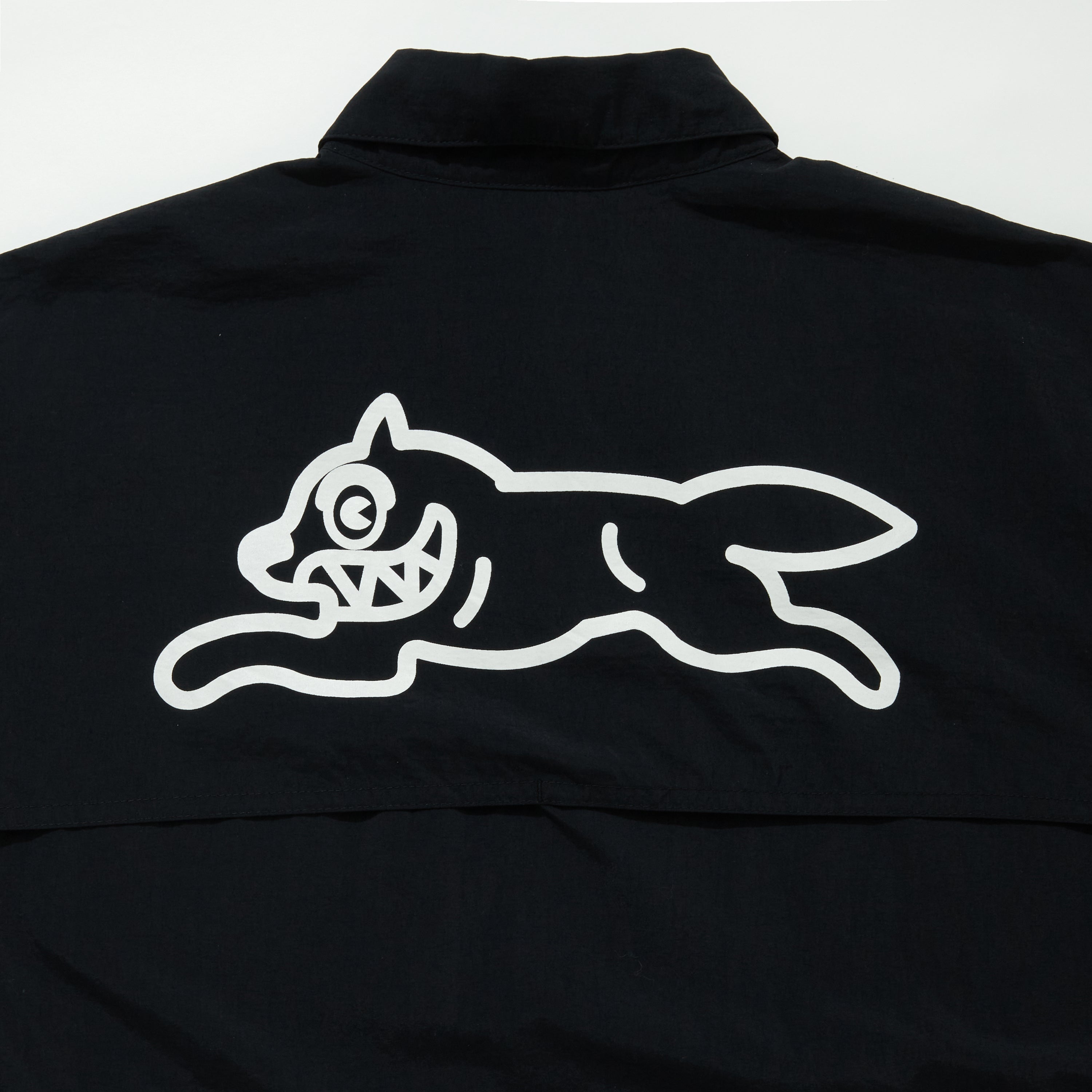 画像をギャラリービューアに読み込む, Nylon Shirt
