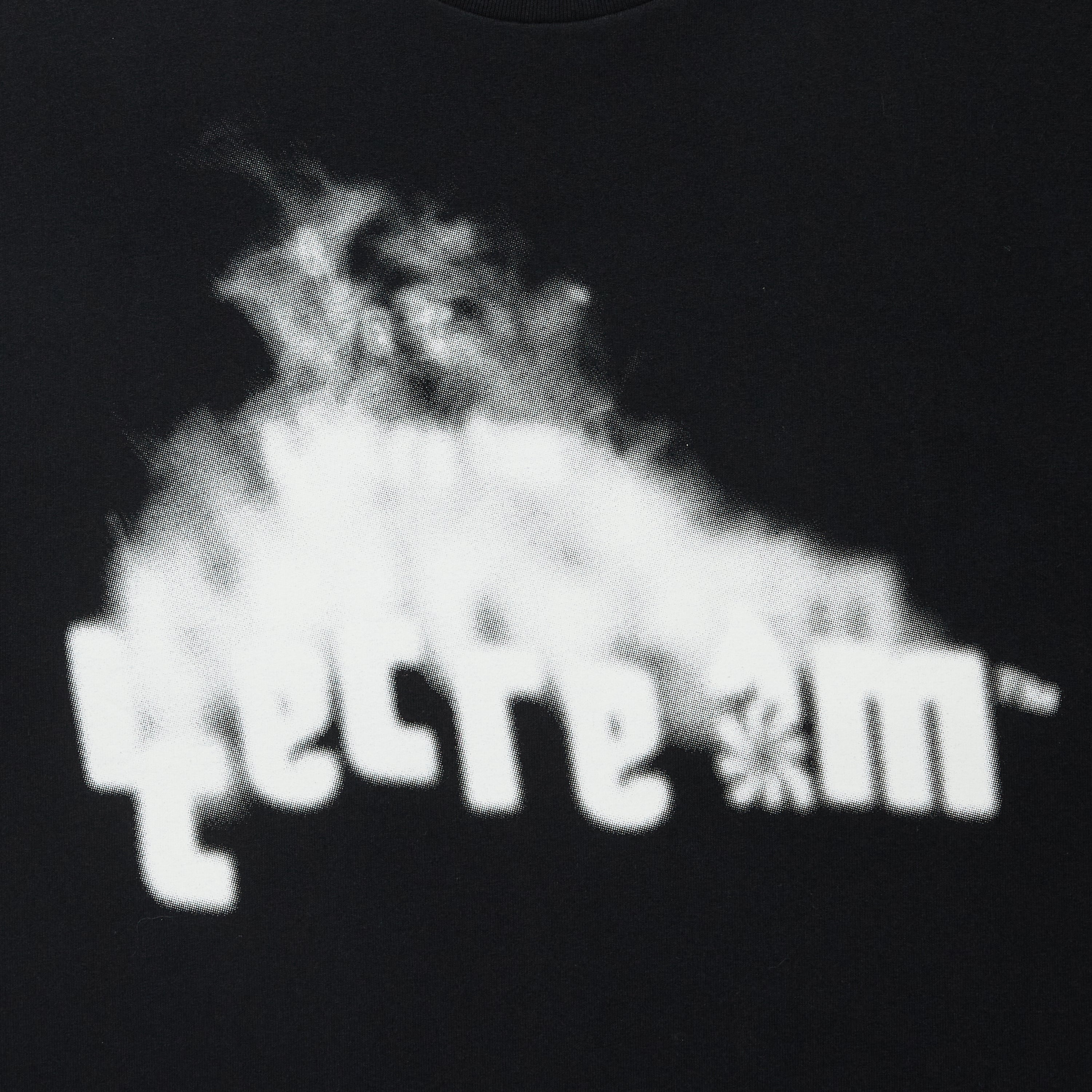 画像をギャラリービューアに読み込む, Cotton T-shirt_Smoke
