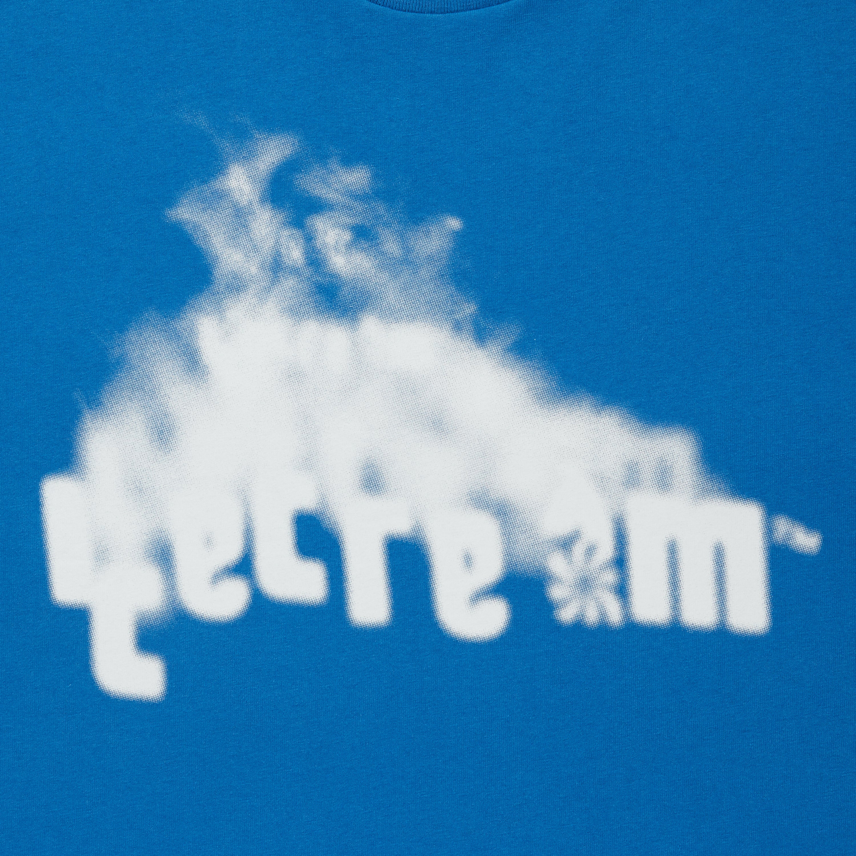 画像をギャラリービューアに読み込む, Cotton T-shirt_Smoke
