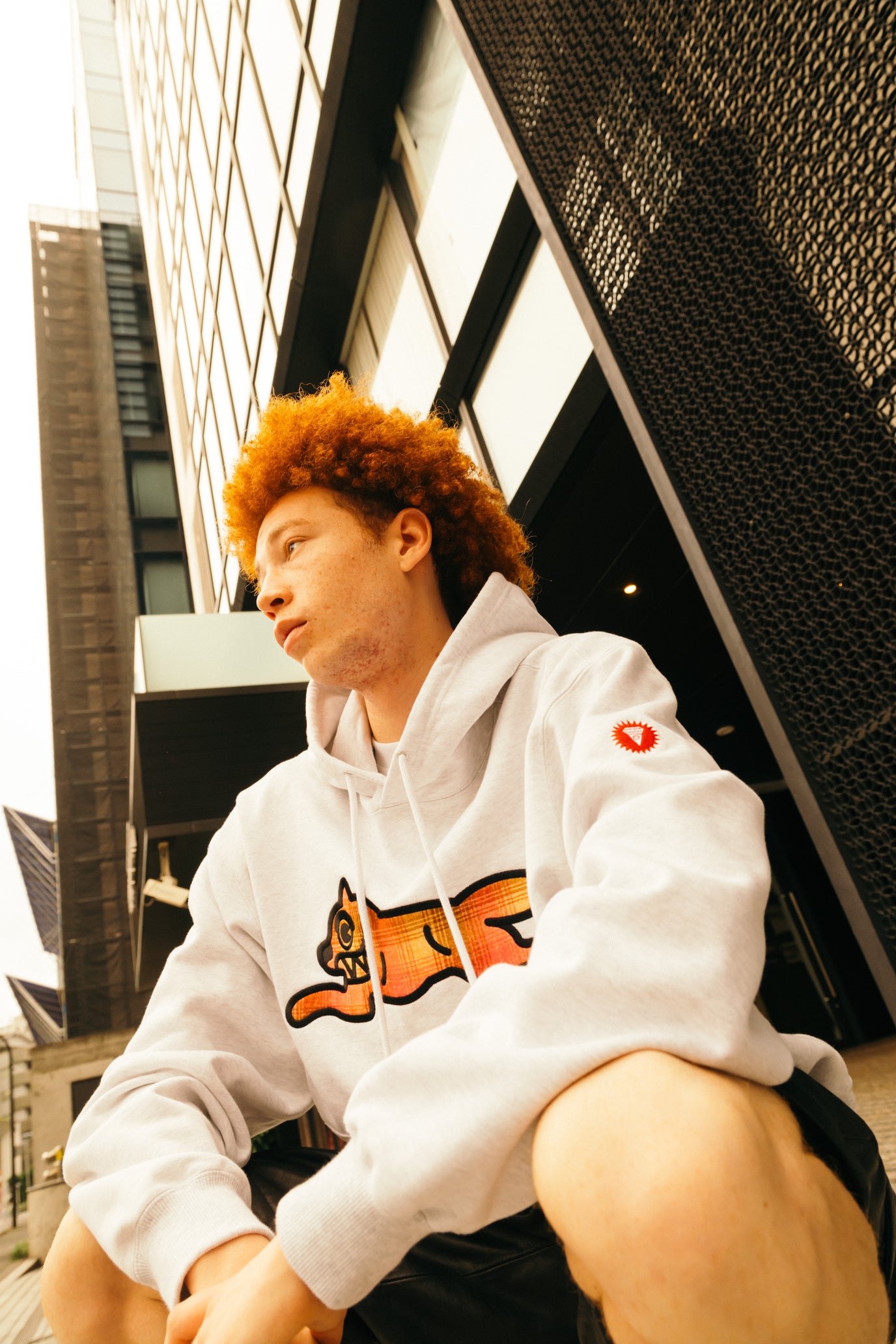 Load image into Gallery viewer, APPLIQUE LOGO HOODIE_RUNNING DOG
