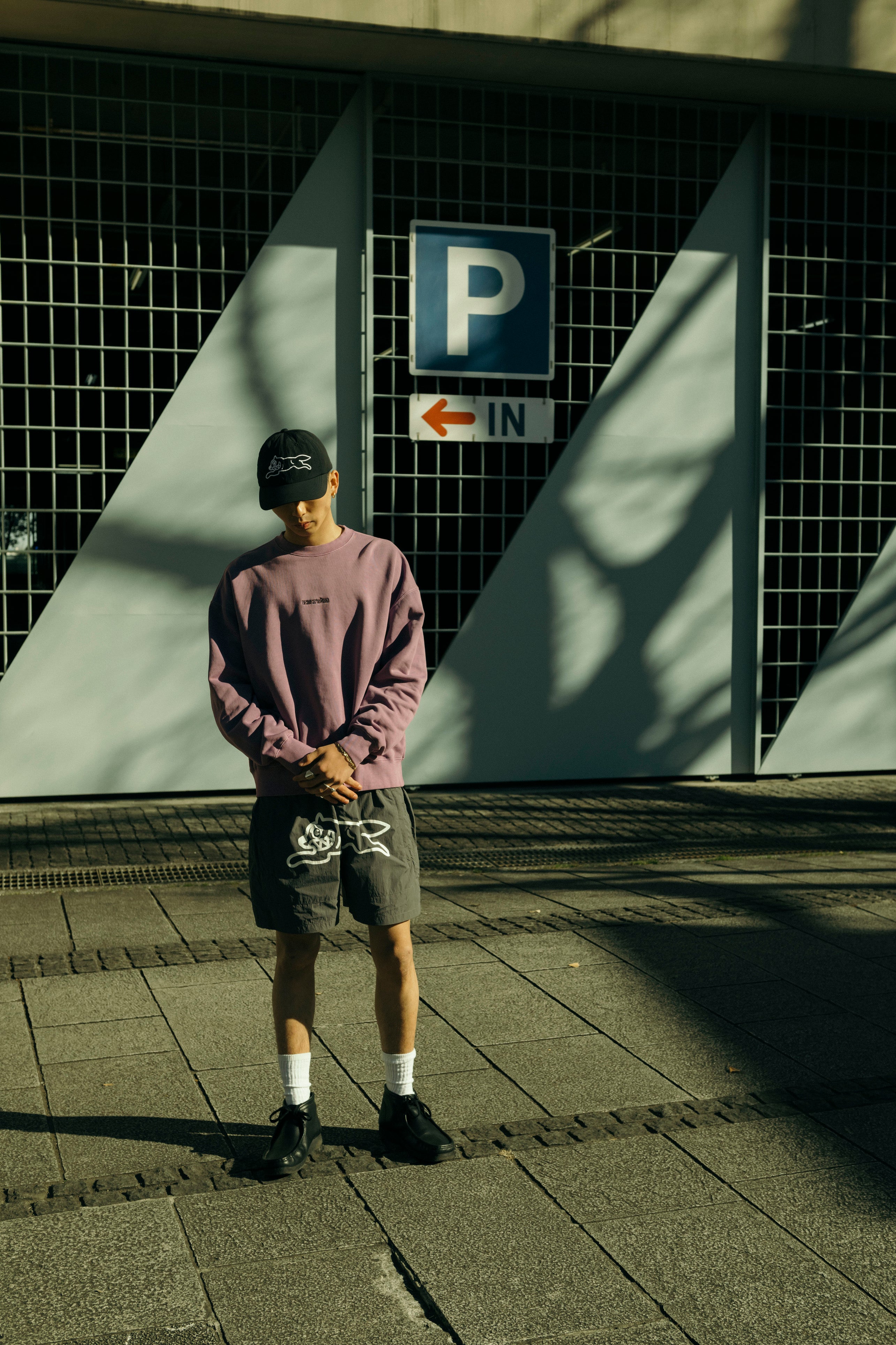 画像をギャラリービューアに読み込む, Nylon Cap
