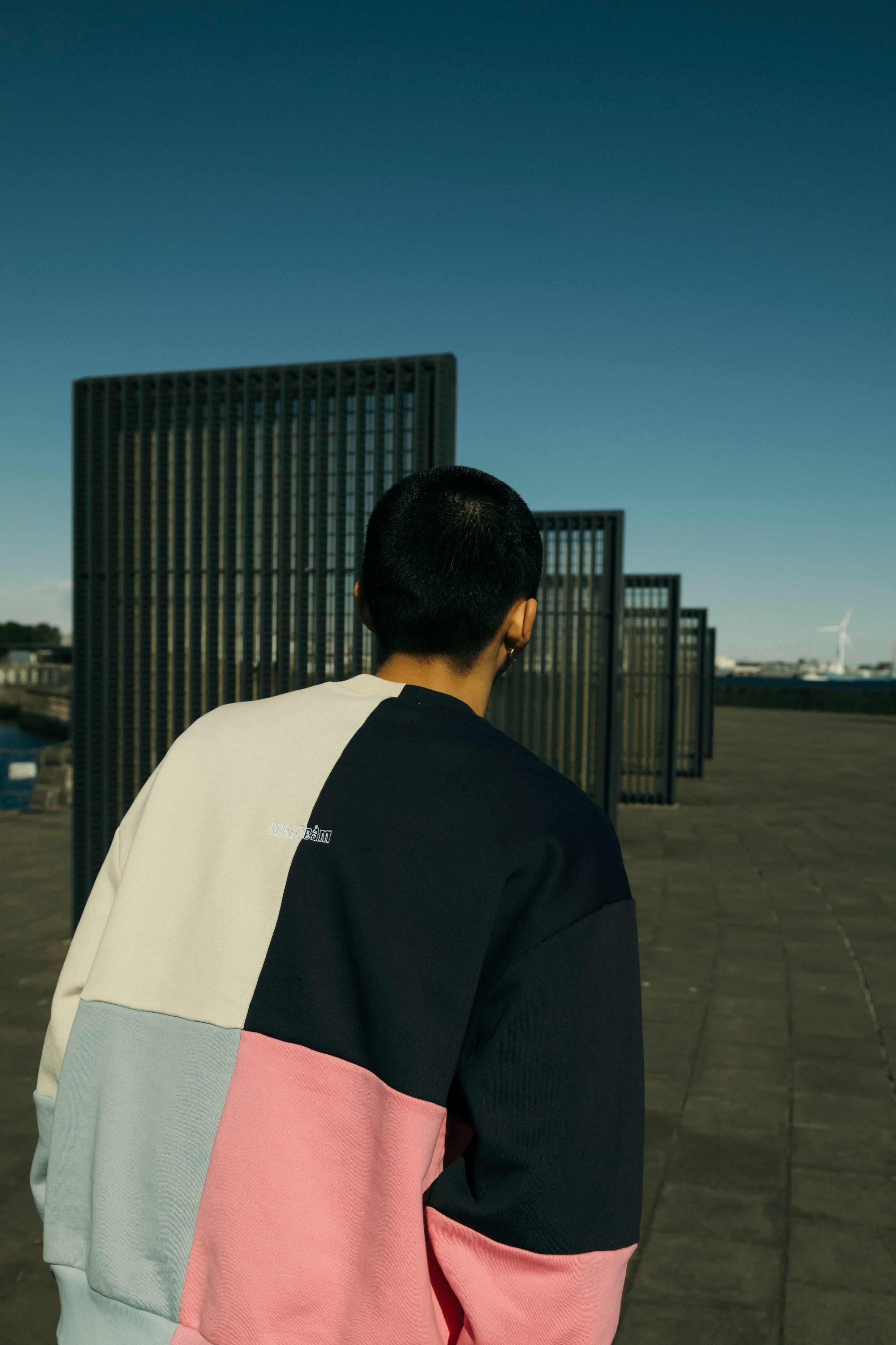 Load image into Gallery viewer, Embroidery Logo Crazy Sweatshirt
