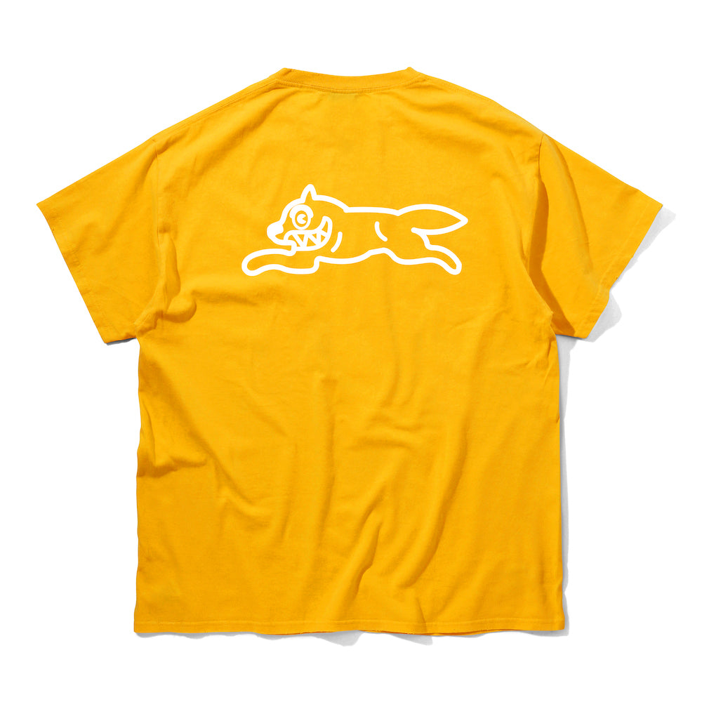 画像をギャラリービューアに読み込む, COTTON T-SHIRT ICECREAM
