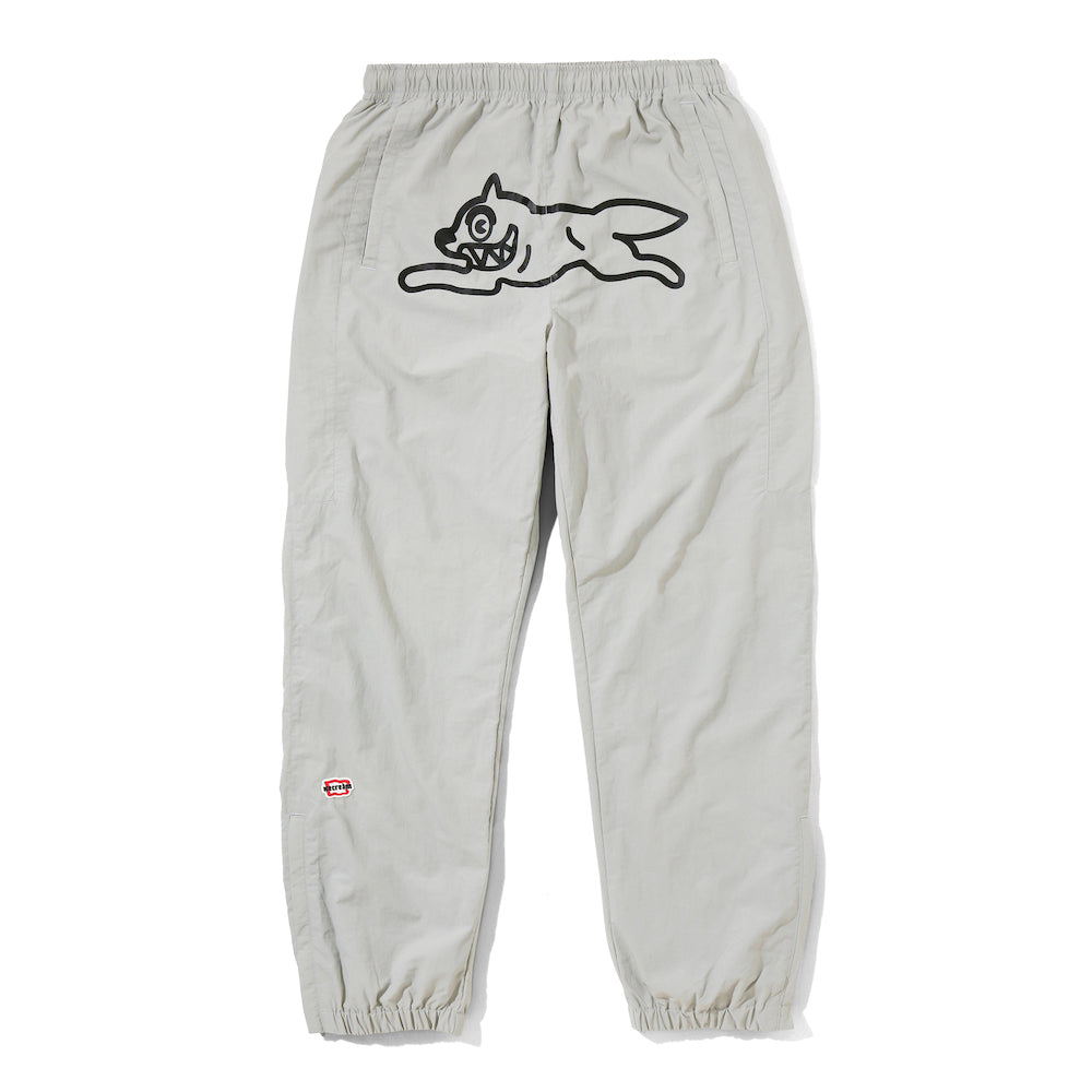 SWITCHING NYLON PANTS